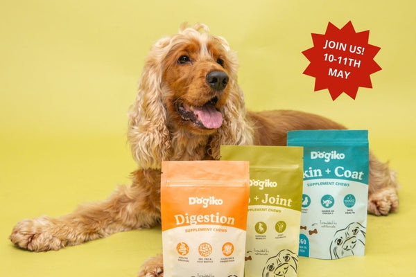 Dogiko is a PawFest sponsor!