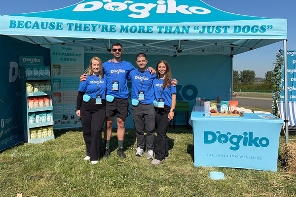PawFest Wrap-Up! 🥳 (with photos!)