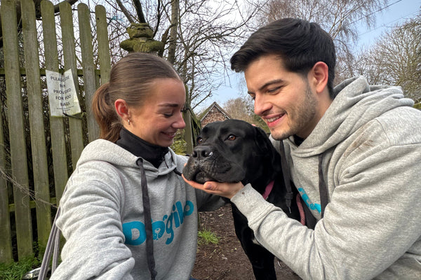 Shelter Love Campaign: Dogiko x Hilbrae Rescue Kennels  🐶❤️