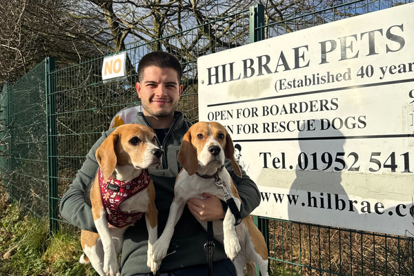 Shelter Love Campaign: We've raised £400! 🐶❤️