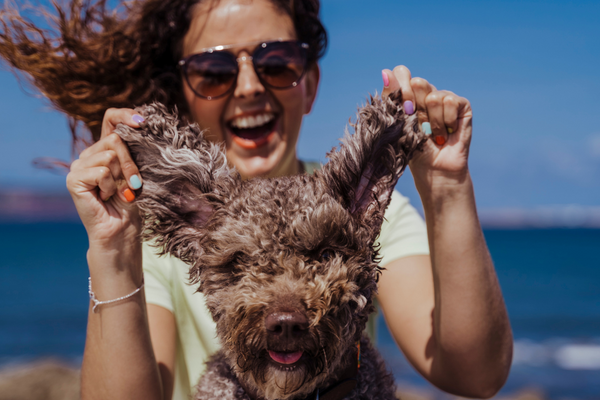 Boost your dog’s digestive health: The power of Prebiotic, Probiotics, Postbiotics, and More!