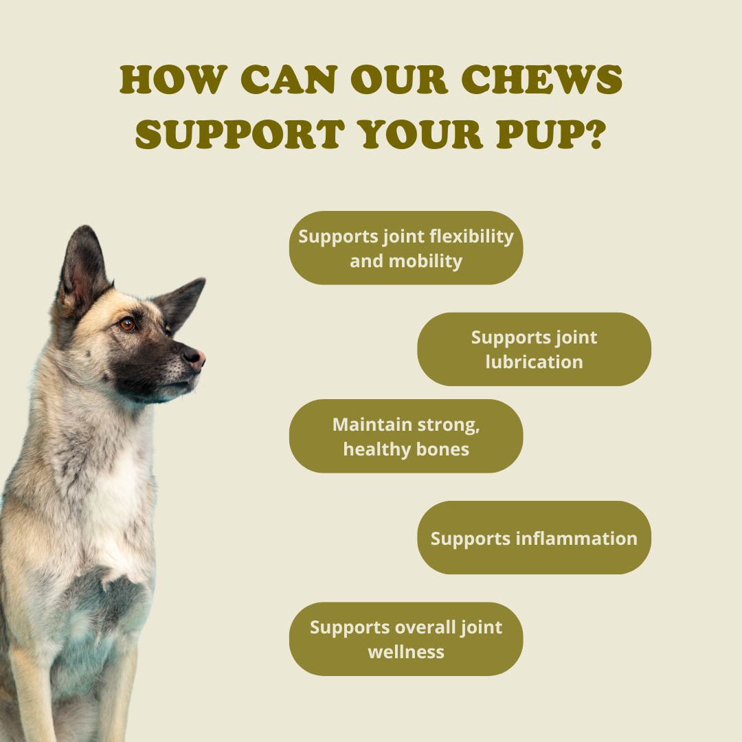 Hip + Joint Chews