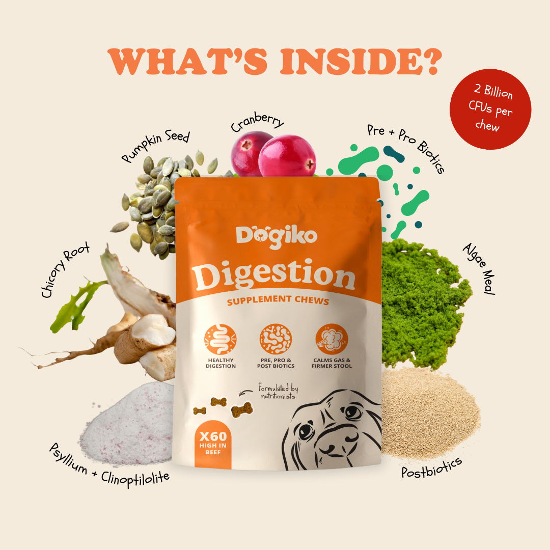 Digestion Chews