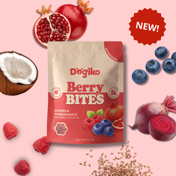Berry Bites