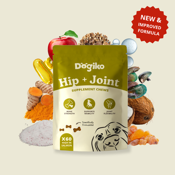 Hip + Joint Chews