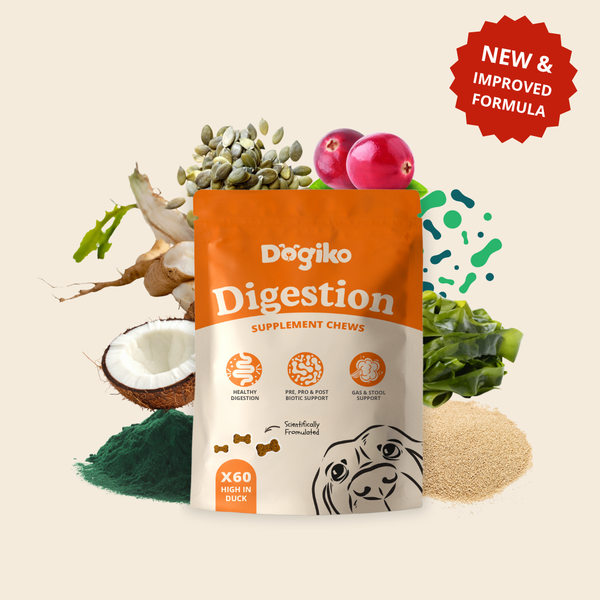 Digestion Chews