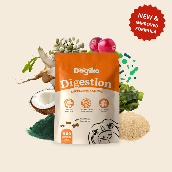 Digestion Chews