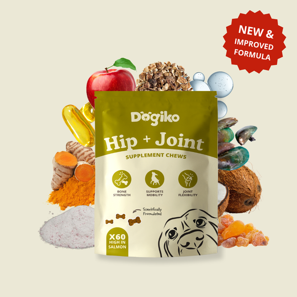 Hip + Joint Chews