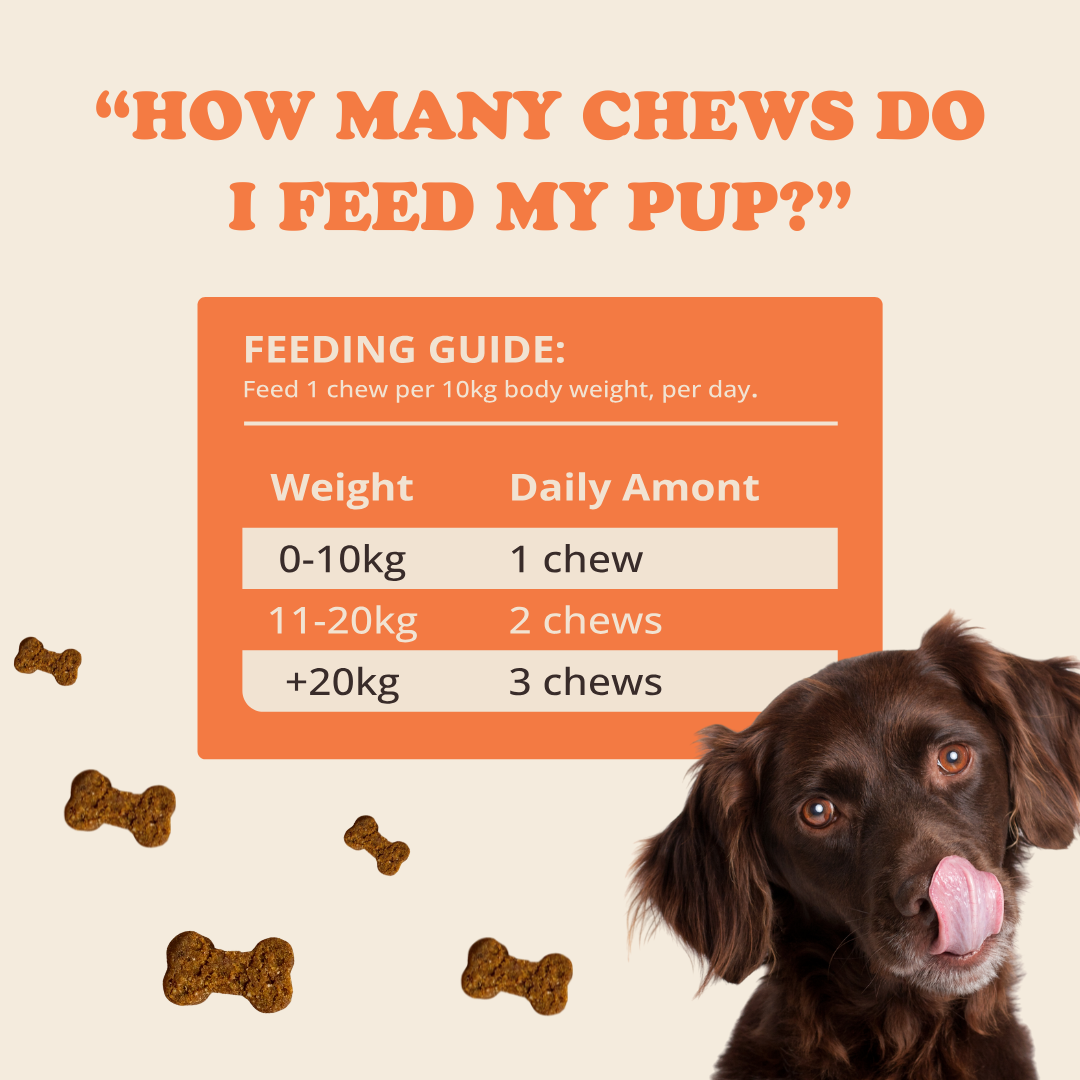 Digestion Chews