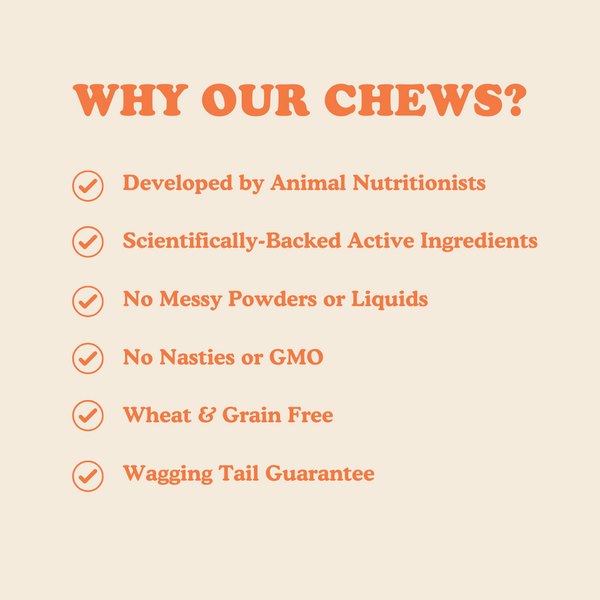 Digestion Chews