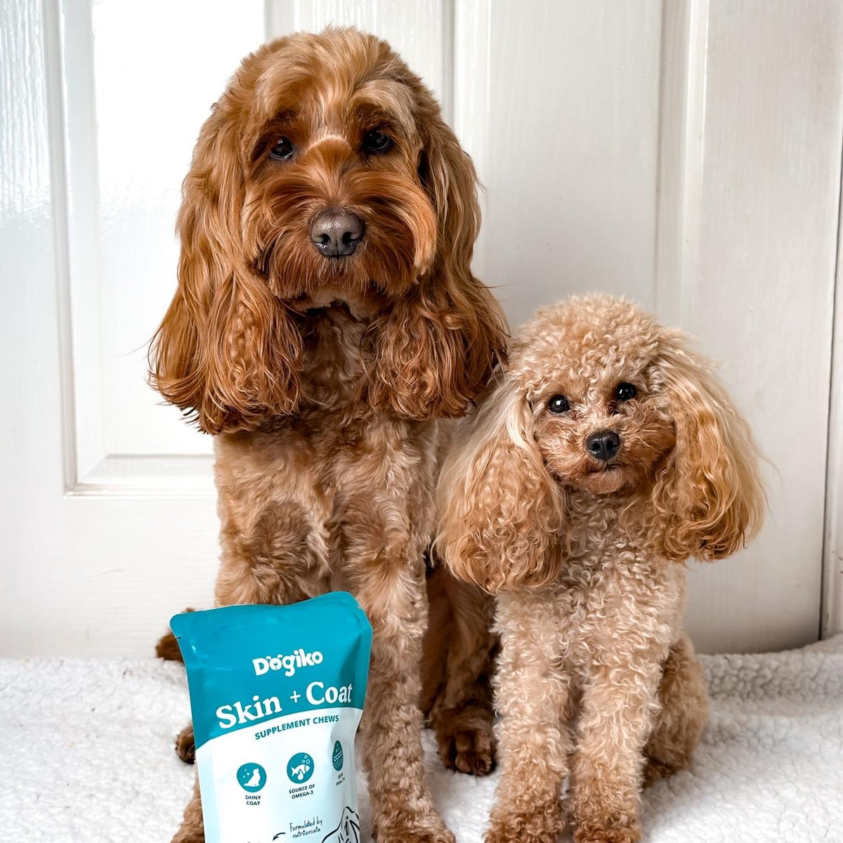 Skin + Coat Chews