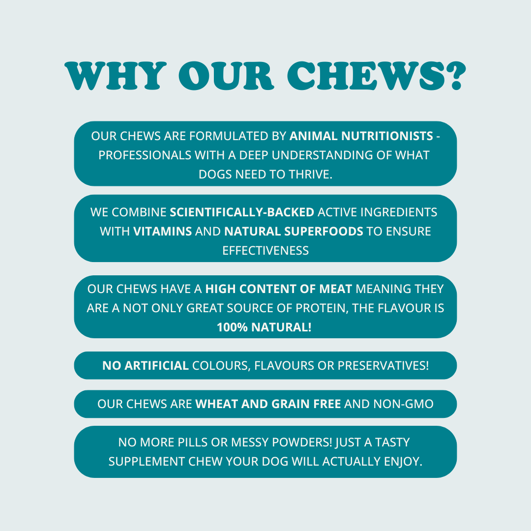 Skin + Coat Chews