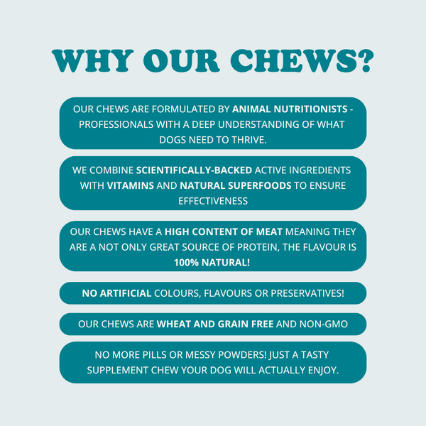 Skin + Coat Chews