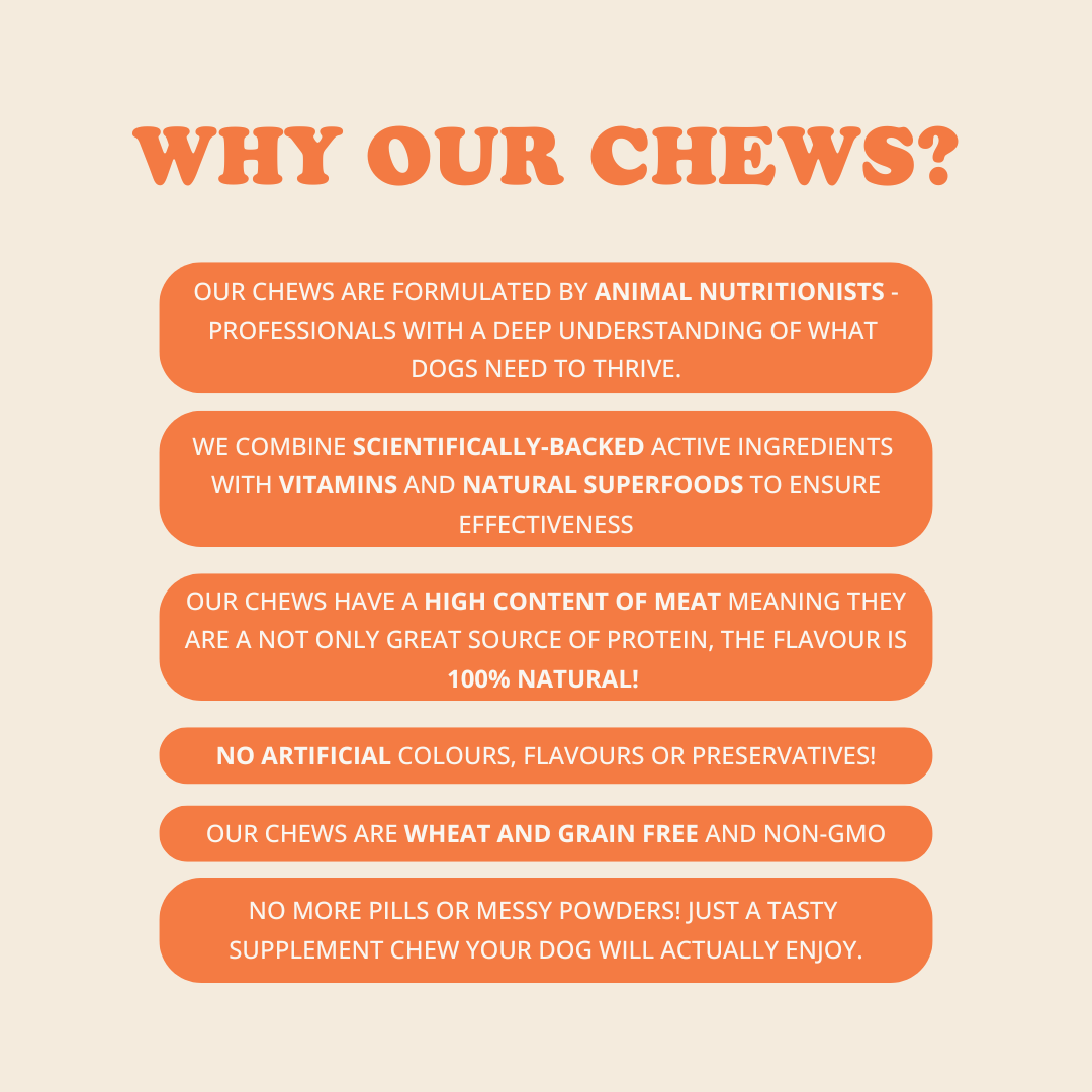 Digestion Chews