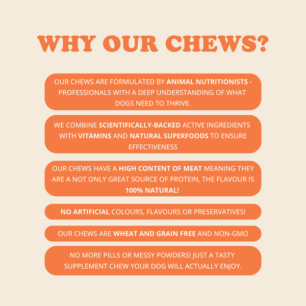 Digestion Chews