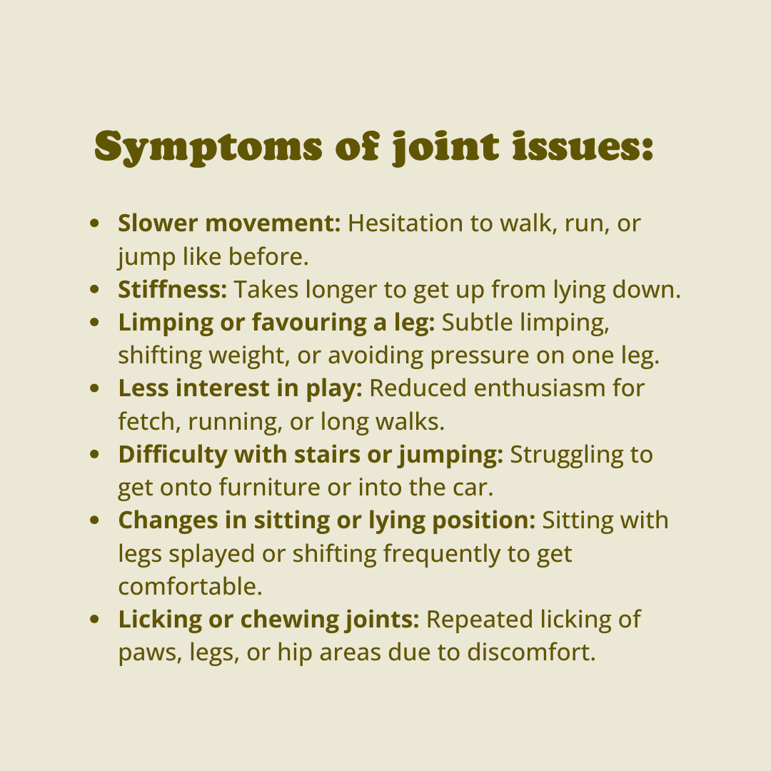 Hip + Joint Chews