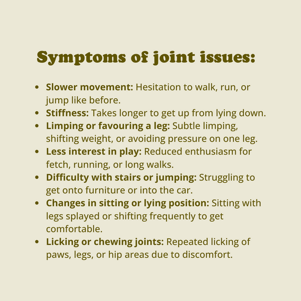 Hip + Joint Chews