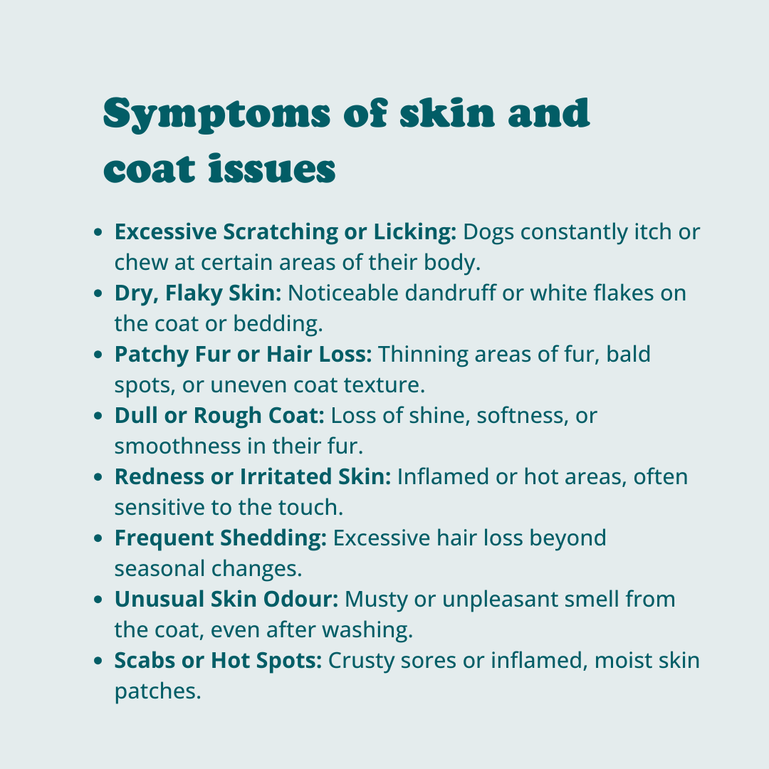 Skin + Coat Chews