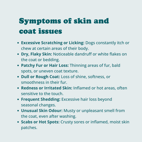 Skin + Coat Chews