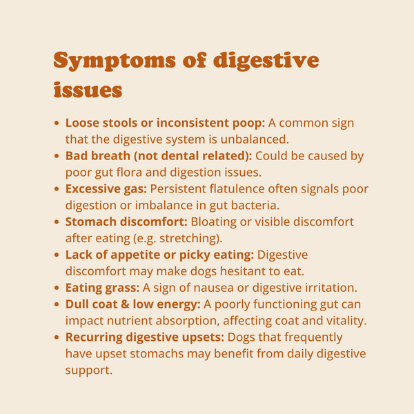 Digestion Chews