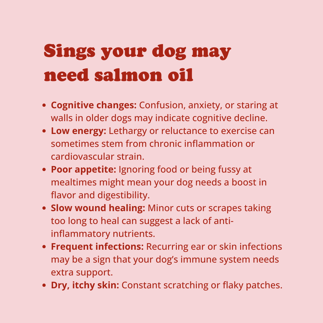 100% Scottish Salmon Oil
