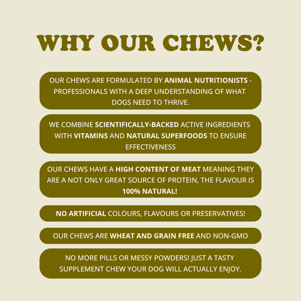 Hip + Joint Chews