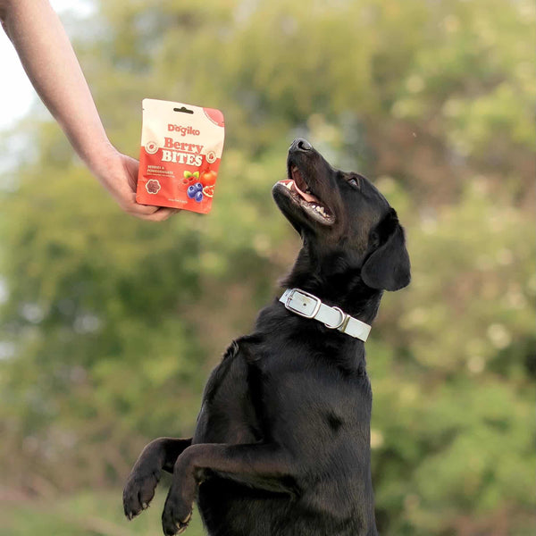 Berry Bites