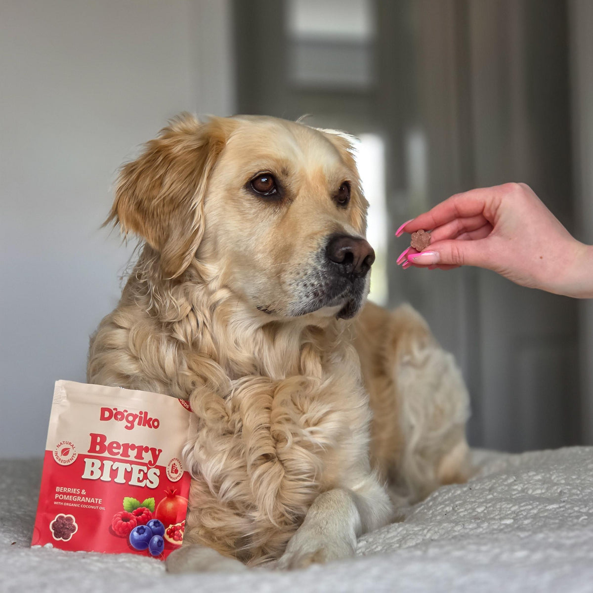 Berry Bites