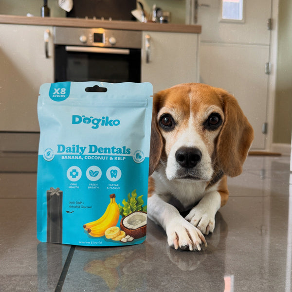 Daily Dentals