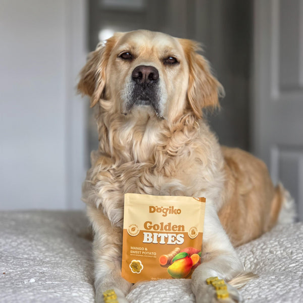 Golden Bites