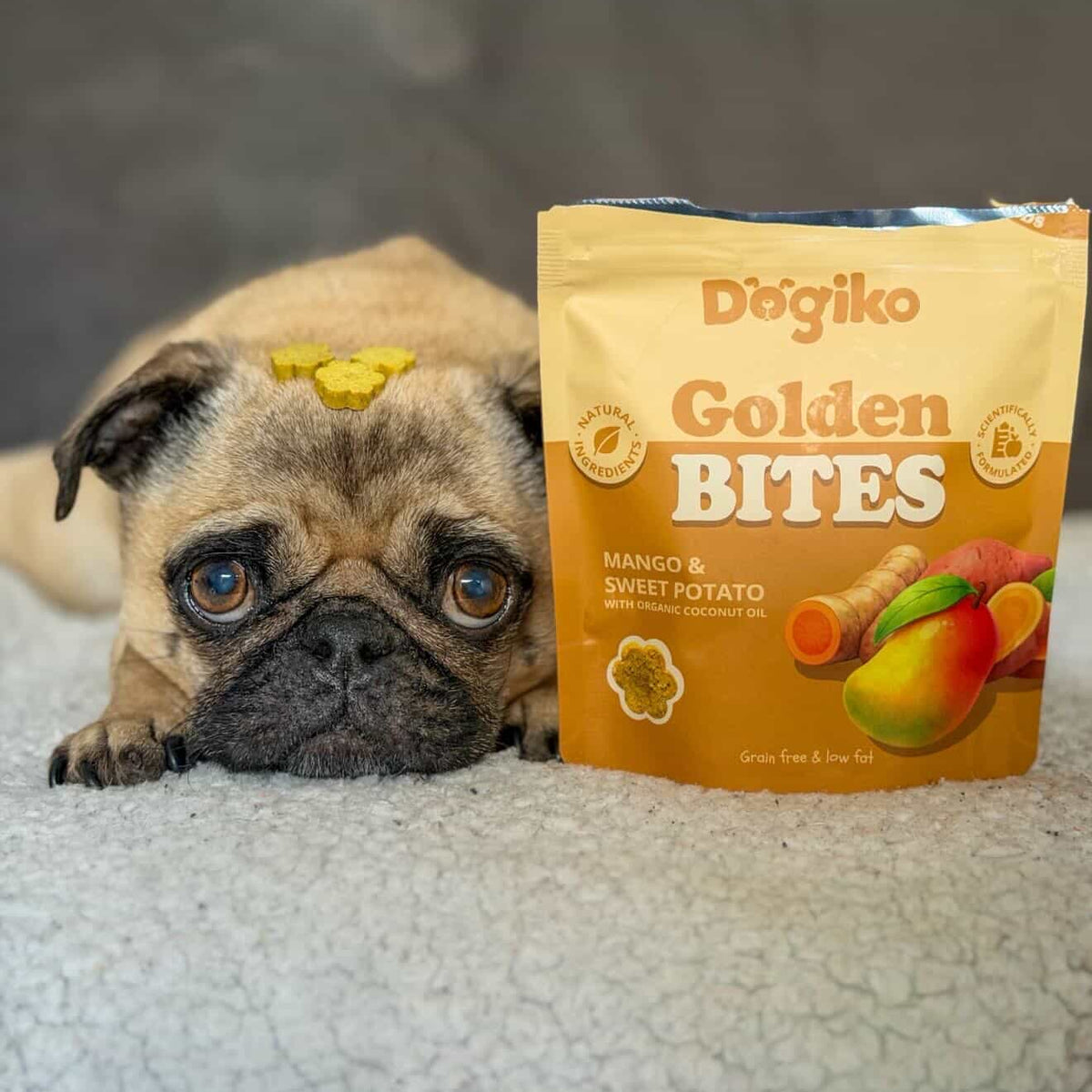 Golden Bites