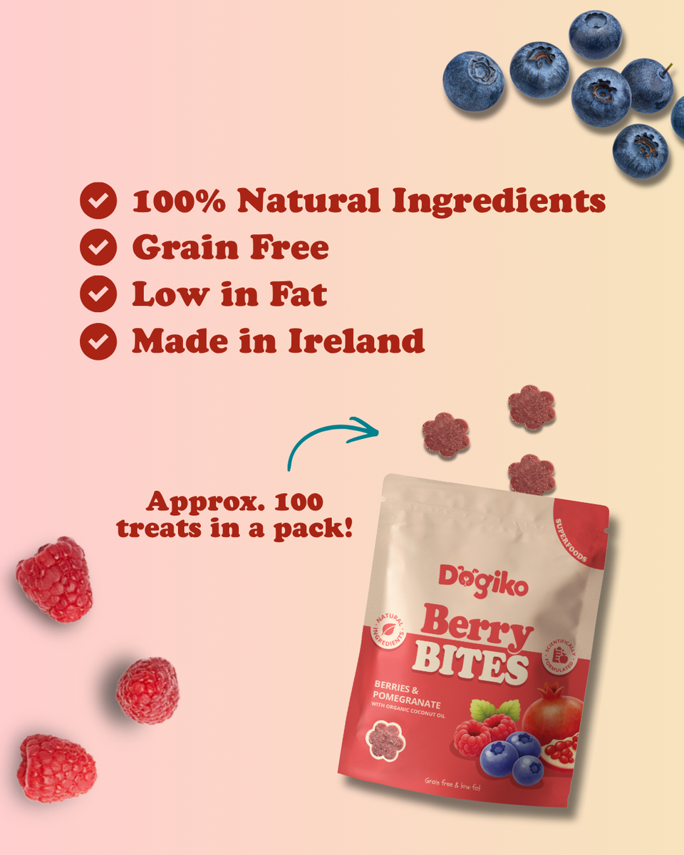 Berry Bites