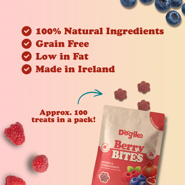 Berry Bites