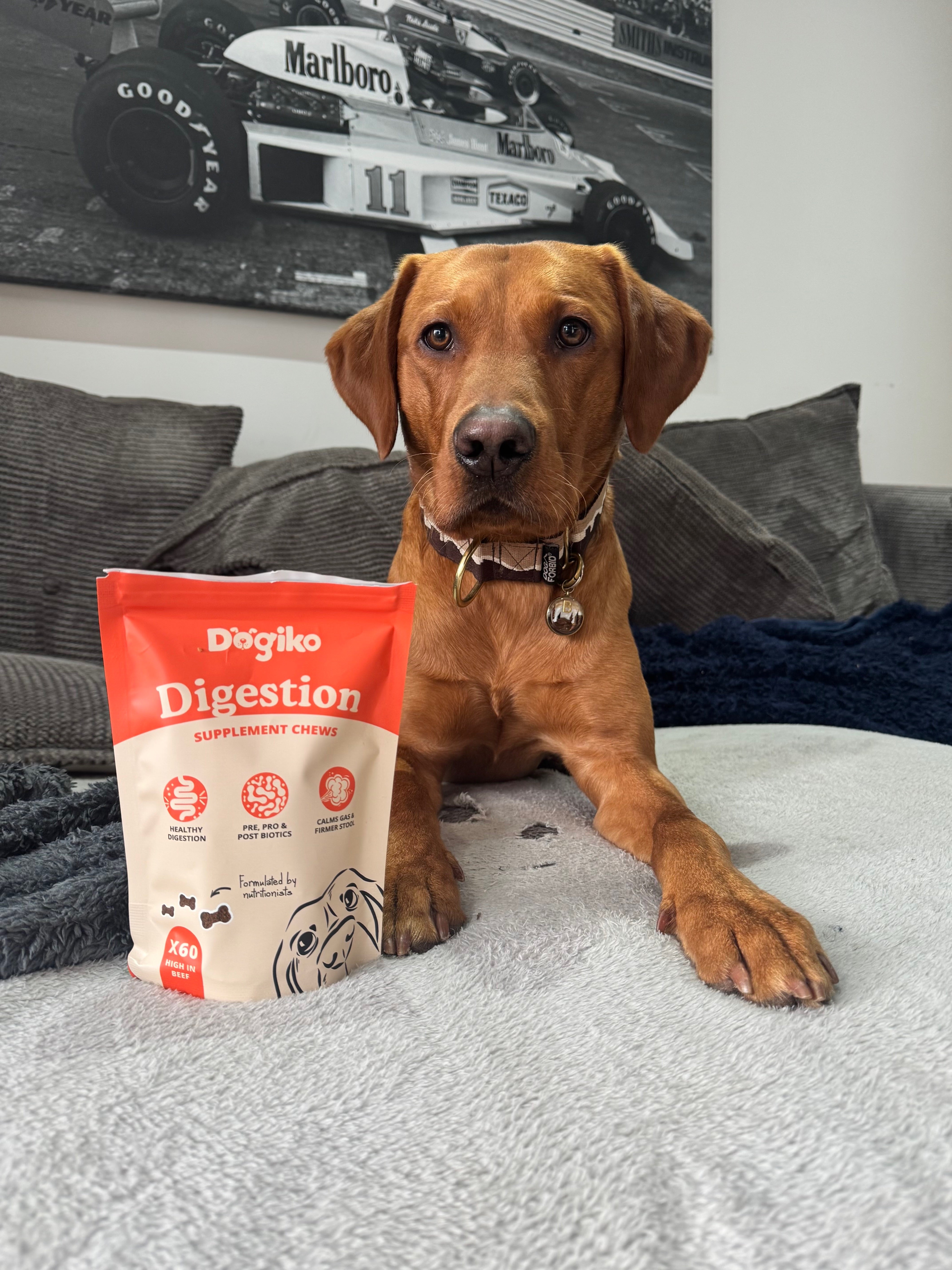 Digestion Chews – Dogiko Digestion Chews – Dogiko