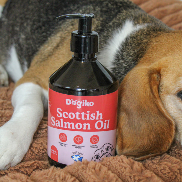 100% Scottish Salmon Oil