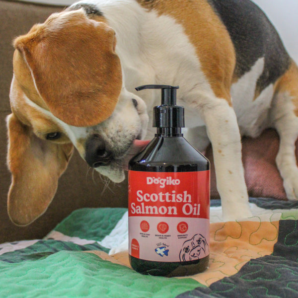 100% Scottish Salmon Oil