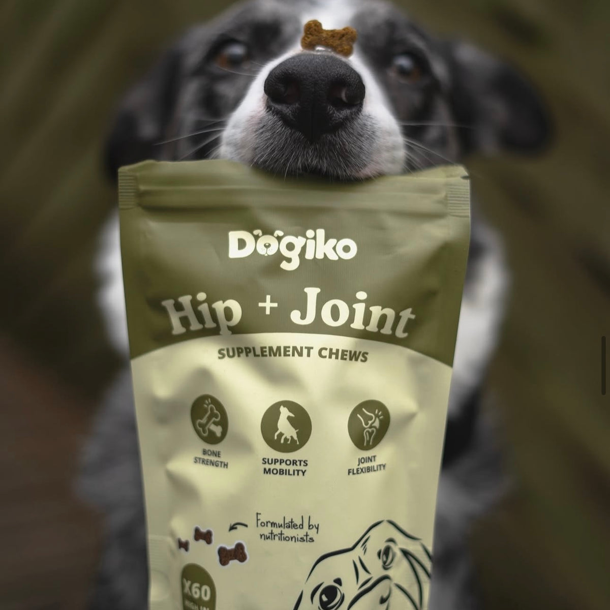 Hip + Joint Chews