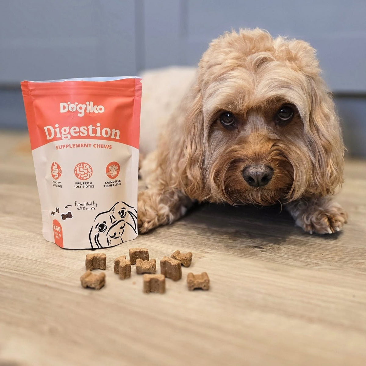 Digestion Chews