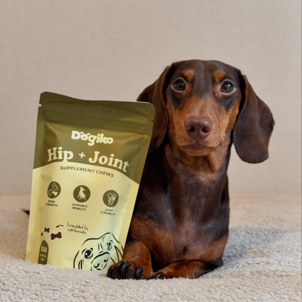 Hip + Joint Chews
