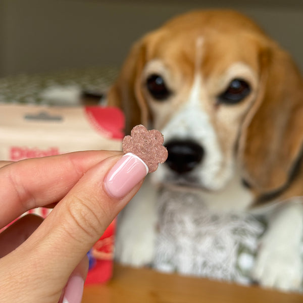 Berry Bites