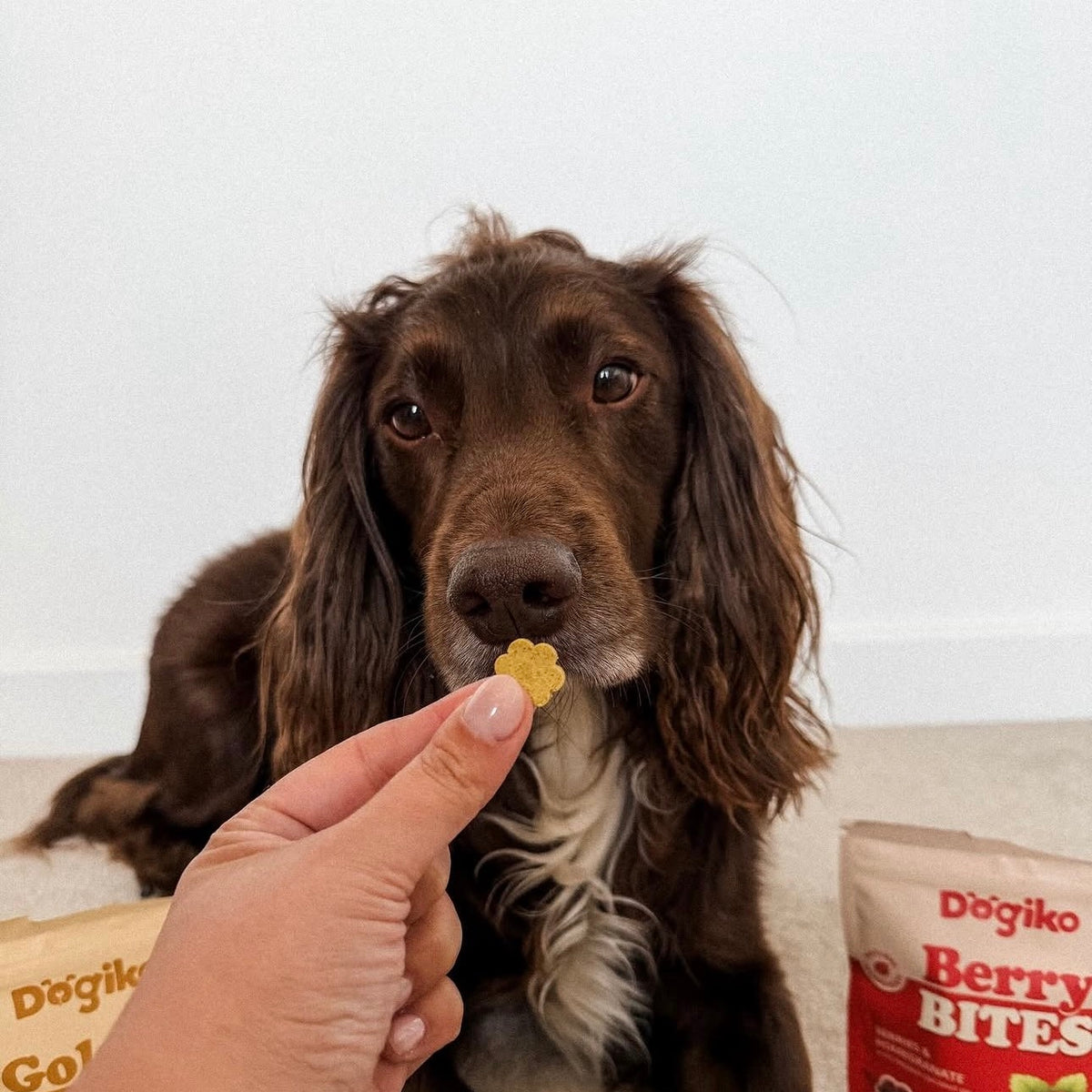 Golden Bites