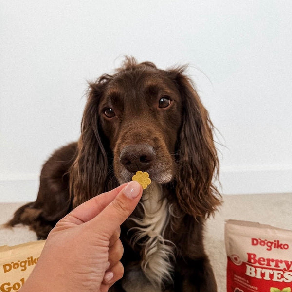 Golden Bites