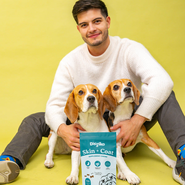 Skin + Coat Chews