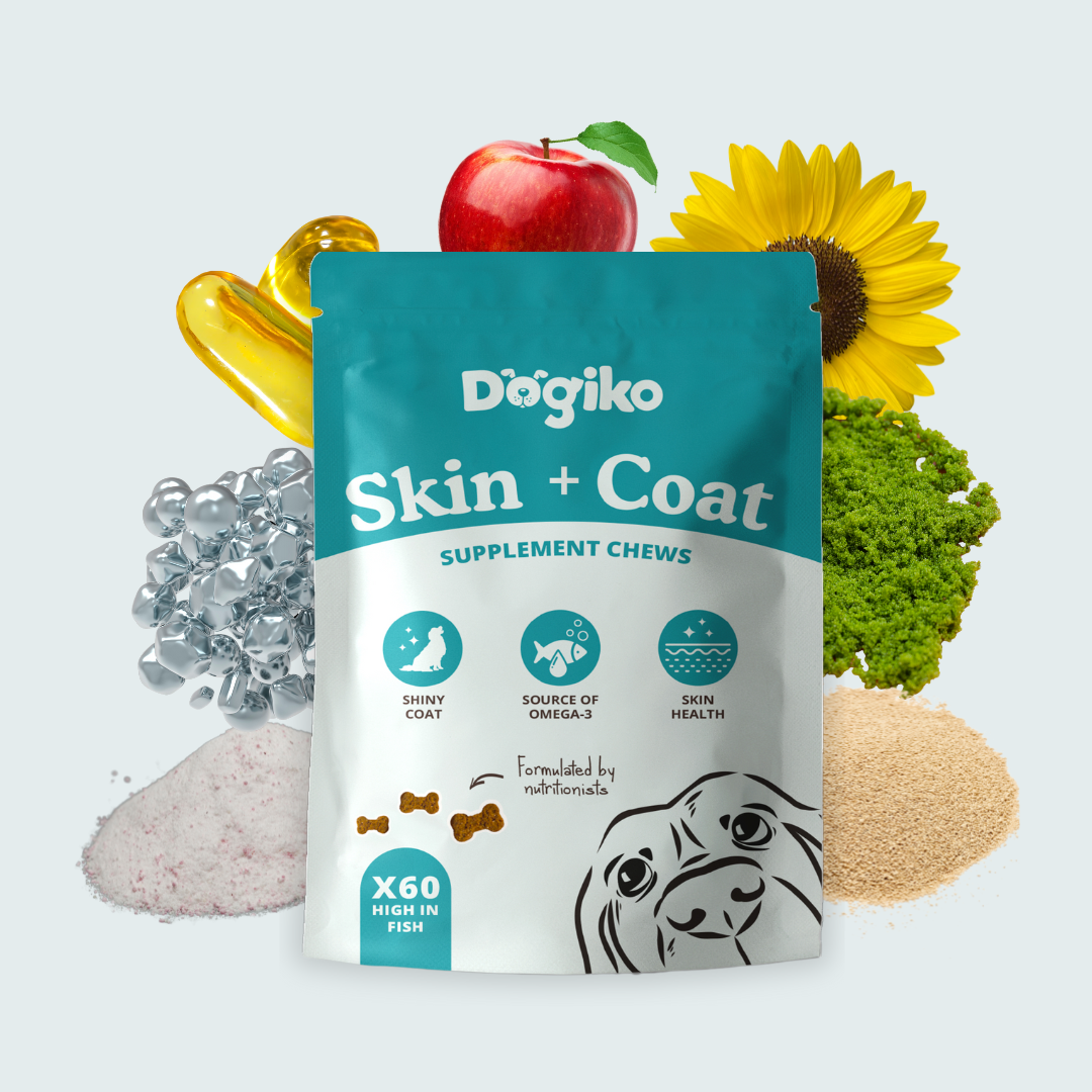 Skin + Coat Chews
